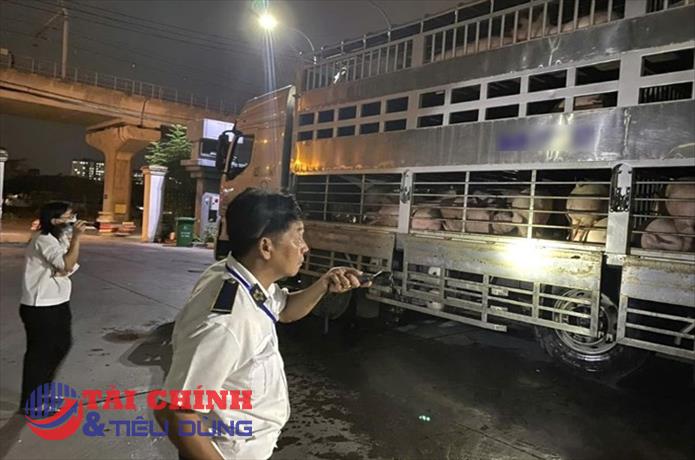 Bộ Nông nghiệp yêu cầu tổng kiểm tra chất cấm trong chăn nuôi sau vụ heo nhiễm Beta-Agonist