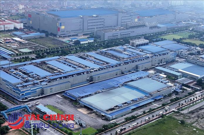 Chọn 'đại bàng', vun đàn 'chim sẻ'