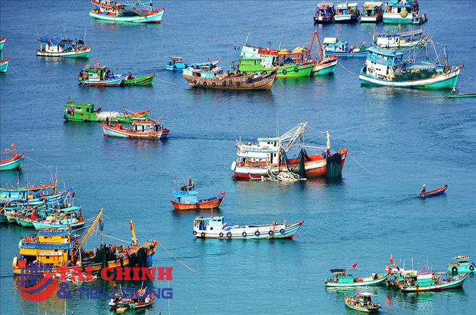Nghị quyết 20-NQ/TW mở hướng phát triển thủy sản hiện đại, công nghệ cao và bền vững