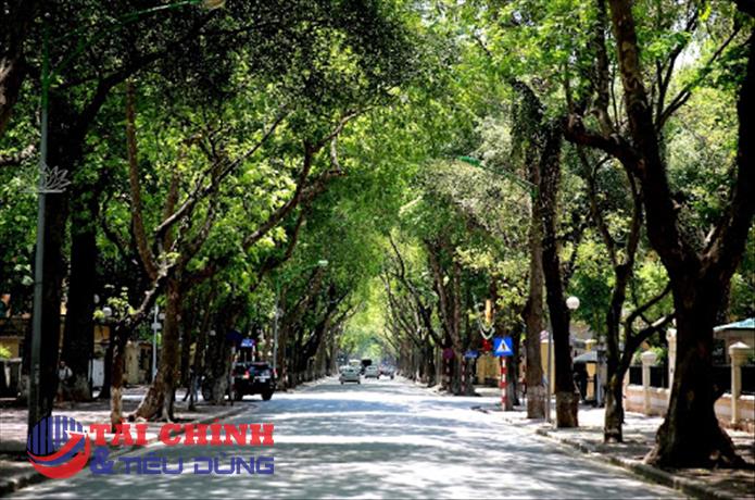 Dự báo thời tiết ngày 5/8: Hà Nội và các khu vực trên cả nước