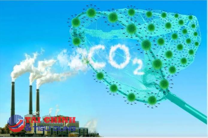 Sàn carbon Việt Nam vẫn còn “đìu hiu” hay đang ở giai đoạn tích lũy?