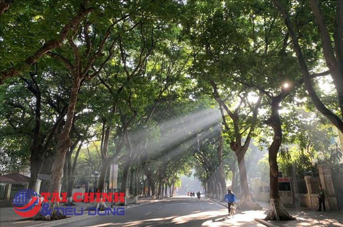 Thời tiết hôm nay 8/8: Nhiều khu vực ngày nắng, chiều tối và đêm có mưa dông
