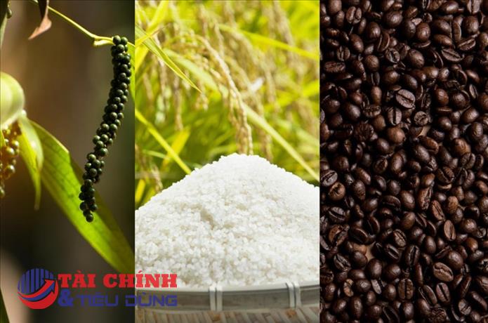 Giá nông sản hôm nay 10/8: Cà phê neo cao, tiêu giảm 2.000 đồng/kg, gạo ổn định