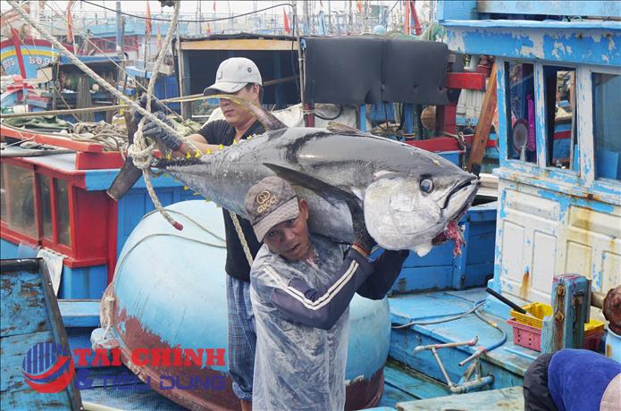 Quyết tâm gỡ "Thẻ vàng" IUU trong năm 2026