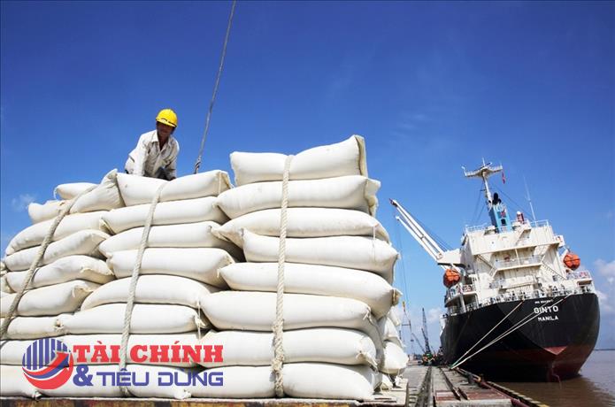 Gạo Việt: Đã đến lúc xây dựng giá trị thay vì chỉ tính sản lượng