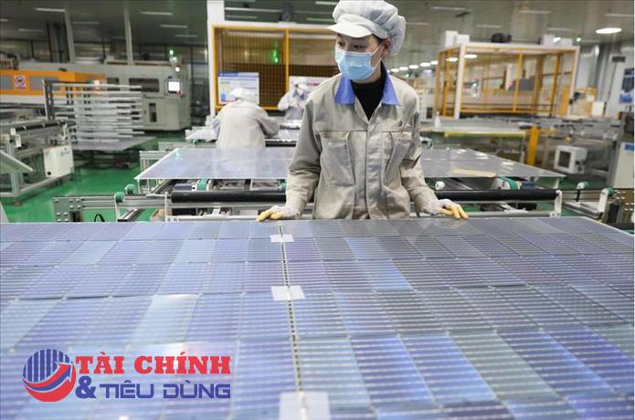 Dư cung bóp nghẹt lợi nhuận, các ông lớn pin mặt trời Trung Quốc tìm đường thoát lỗ