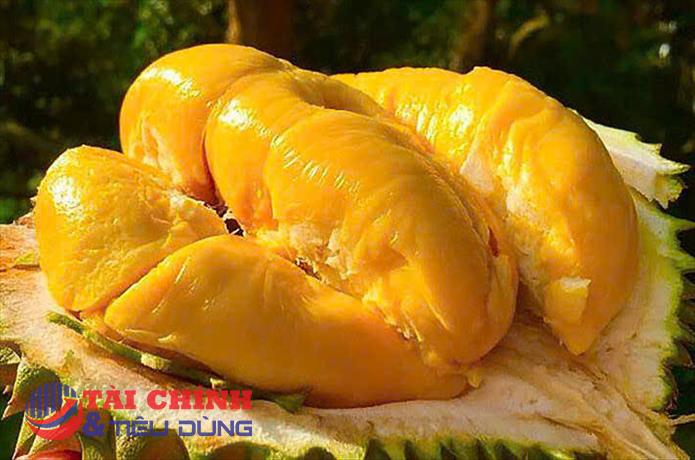 Giá sầu riêng hôm nay 15/8: Thị trường biến động, giá phân hóa theo chất lượng
