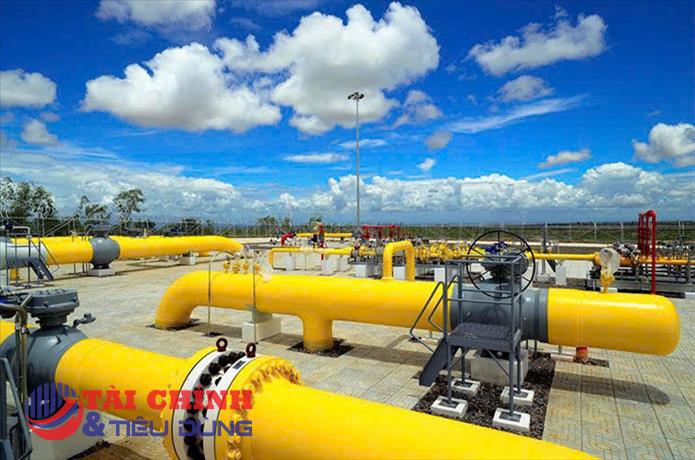 Giá gas hôm nay 20/8: Bình gas 12kg tiếp tục ổn định
