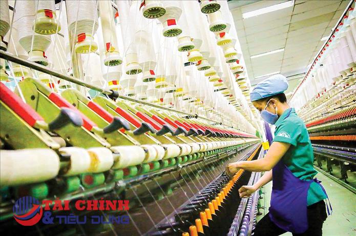 Dệt may tìm dư địa tăng trưởng từ chuyển đổi xanh