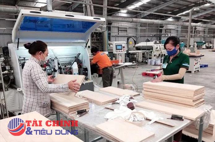Gỗ Trường Thành (TTF) lỗ lũy kế 3.531 tỷ đồng, vốn chủ sở hữu chỉ còn hơn 108 tỷ