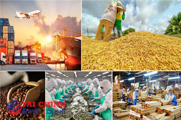 Giá nông sản hôm nay 31/8: Tiêu, cà phê cùng giảm, lúa gạo ổn định