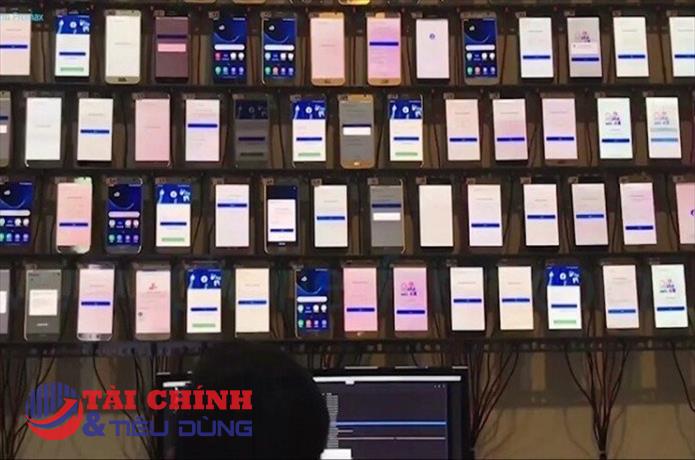 Khi Phone Farm biến tài khoản ảo thành “đám đông” để lừa đảo