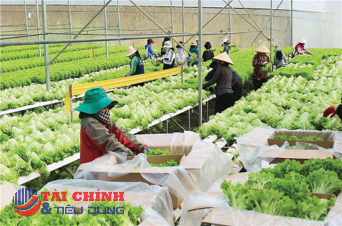 Lâm Đồng mở rộng hợp tác với Trung Quốc, đón dòng vốn vào nông nghiệp và công nghiệp