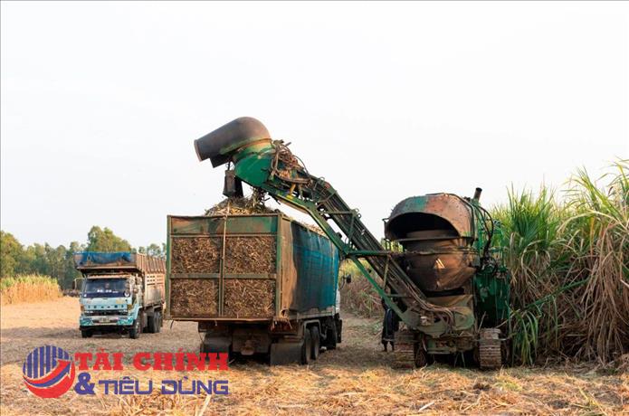 Giá đường thế giới áp sát đỉnh 17 tháng, kỳ vọng nguồn cung hỗ trợ đà tăng