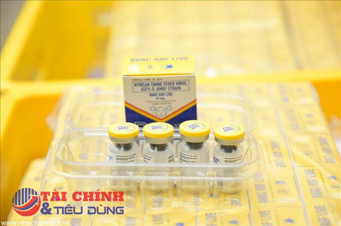 Hoàn tất đơn hàng Vaccine dịch tả lợn châu Phi Việt Nam vào thị trường Philippines